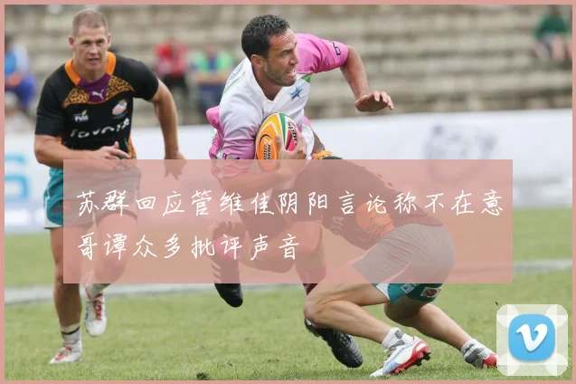 苏群回应管维佳阴阳言论称不在意哥谭众多批评声音