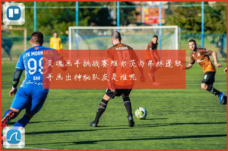 灵魂画手挑战赛维尔茨与弗林蓬联手画出神秘队友是谁呢