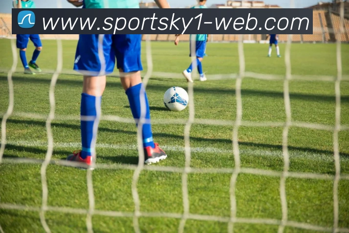 开云体育平台生态图